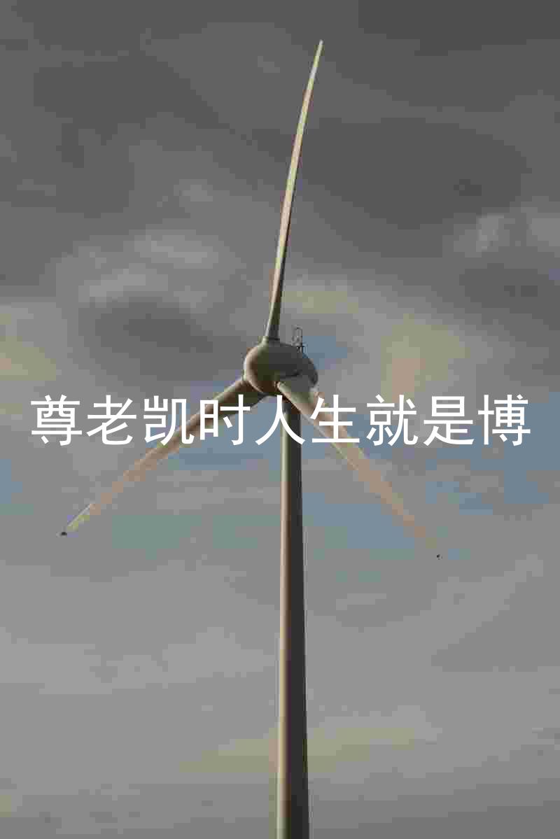 尊老凯时人生就是博