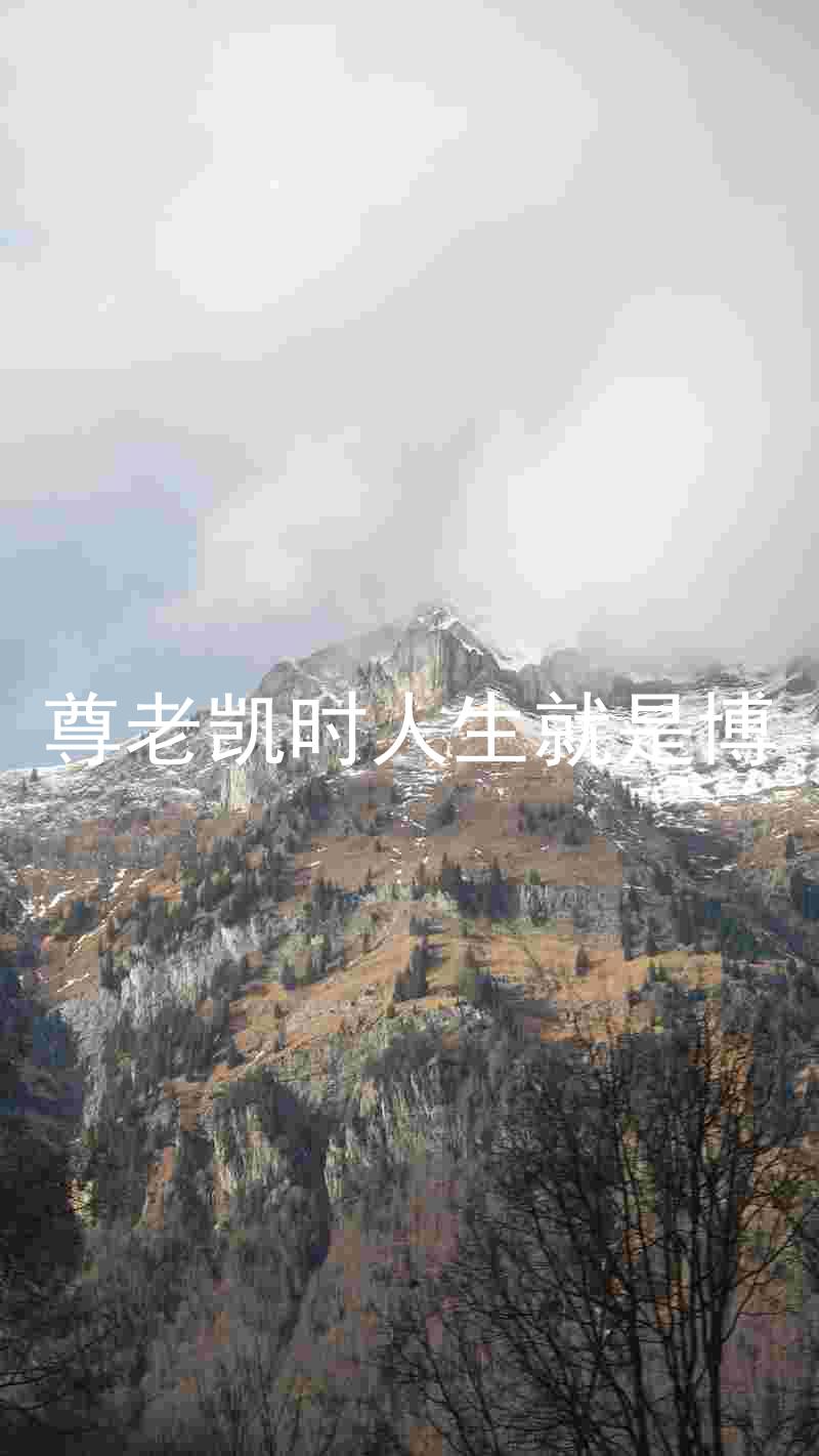 尊老凯时人生就是博