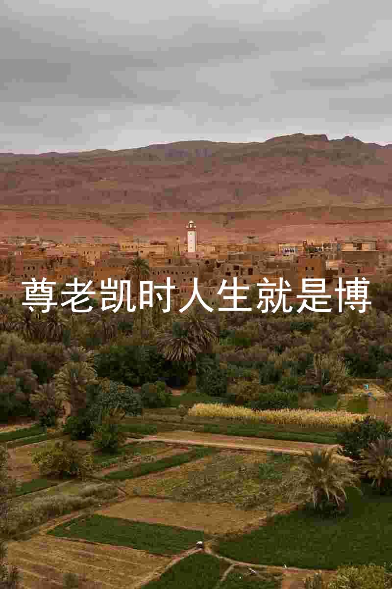 尊老凯时人生就是博