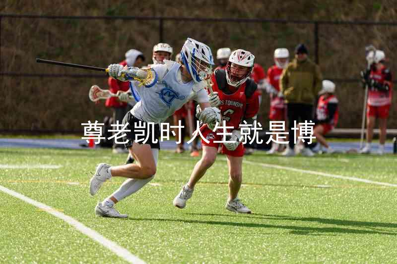 尊老凯时人生就是博