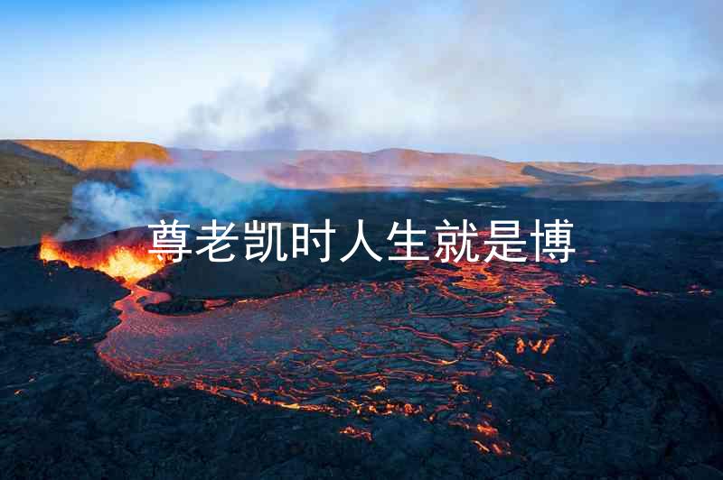 尊老凯时人生就是博
