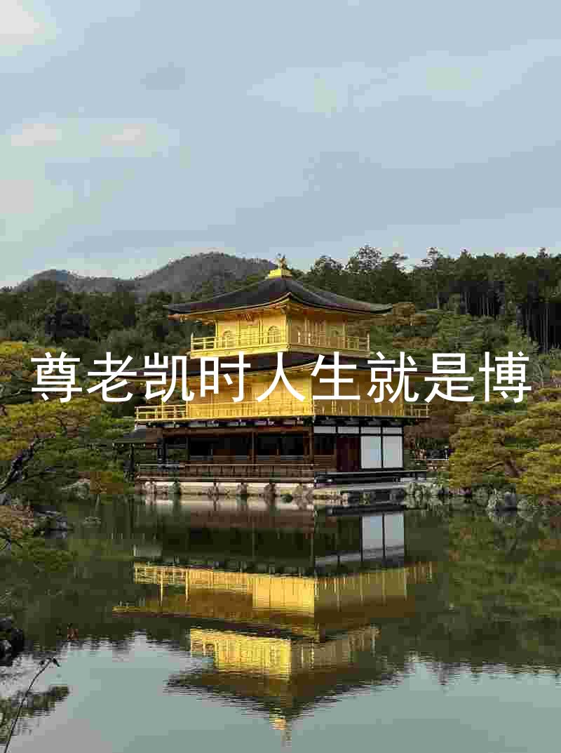 尊老凯时人生就是博